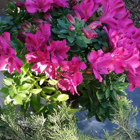 Hébergement de vacances Yellow 1 By Interhome